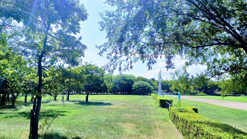 芦屋市総合公園 芝生広場