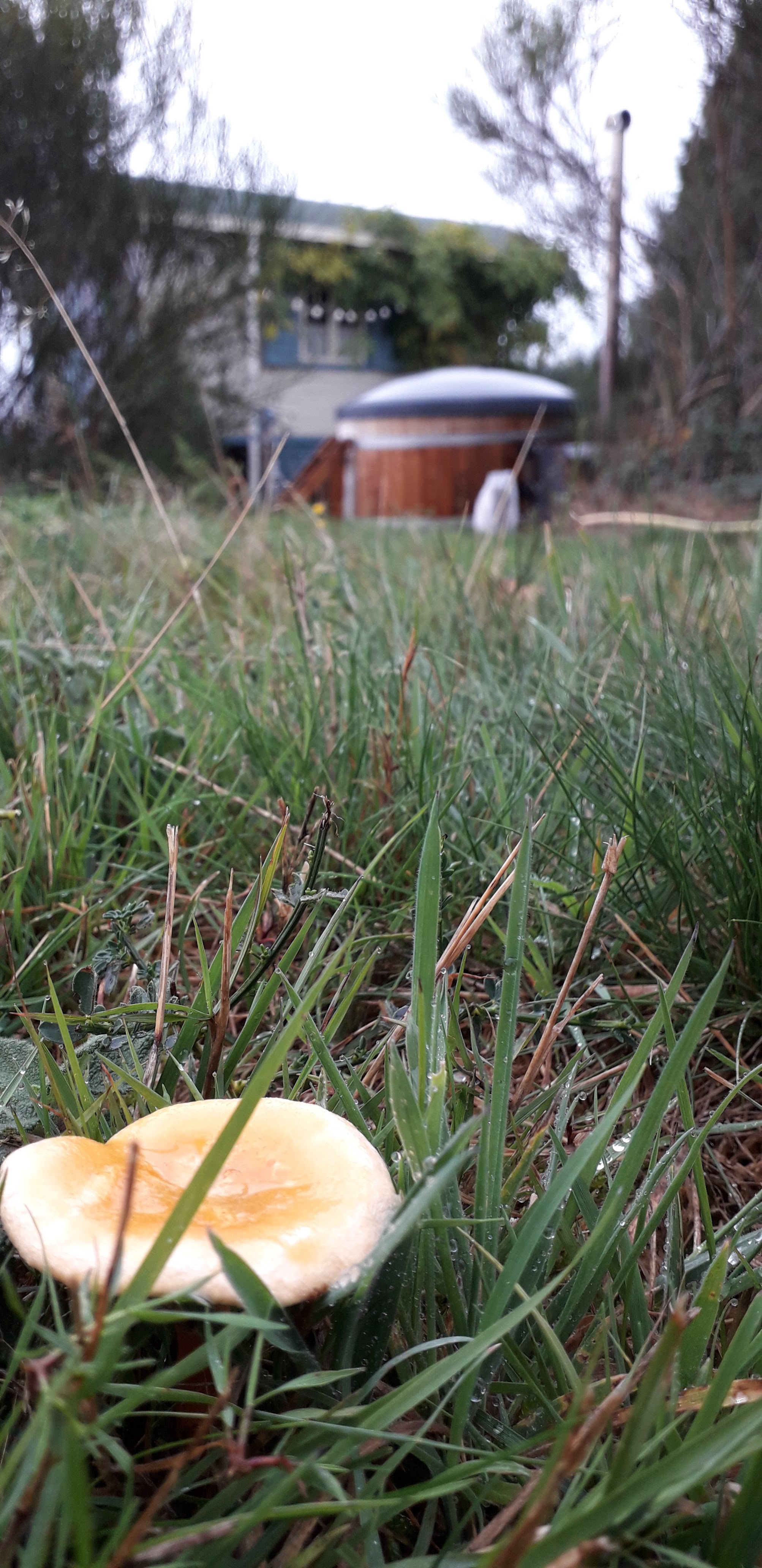 Photo n° 3 de l'avis de Tanja.a fait le 17/10/2019 à 11:53