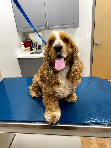 Neabore Veterinary Clinic image