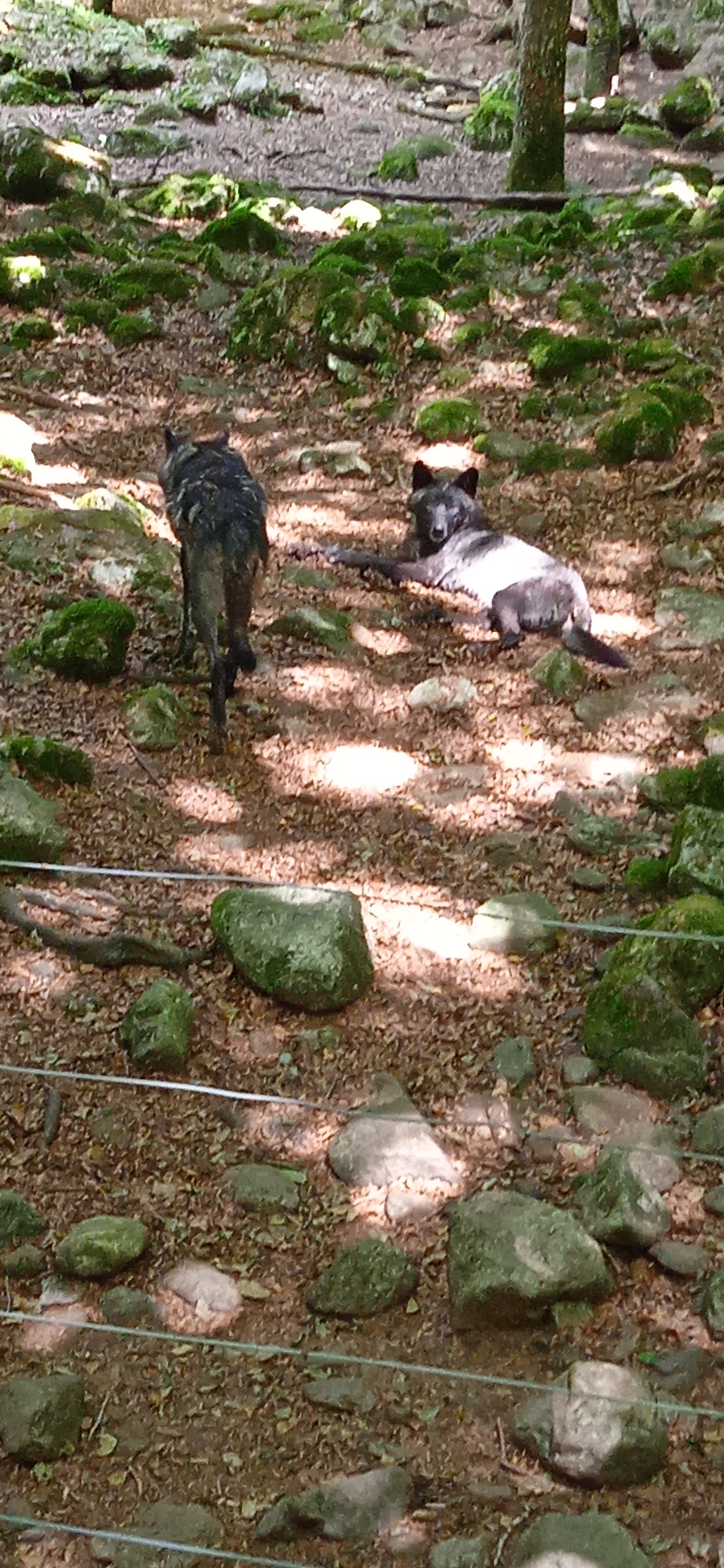 Photo n° 12 de l'avis de Fabrice.e fait le 19/08/2023 à 21:56