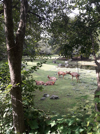 Park «Virginia Park», reviews and photos, 1878 Cross Bronx Expy, Bronx, NY 10472, USA