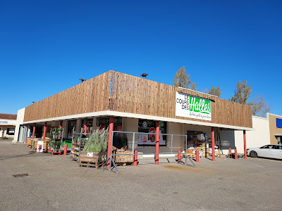 Le Cours des Halles - Saint-Sulpice-la-Pointe à Saint-Sulpice-la-Pointe