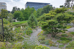 Botanische Tuinen Universiteit Utrecht