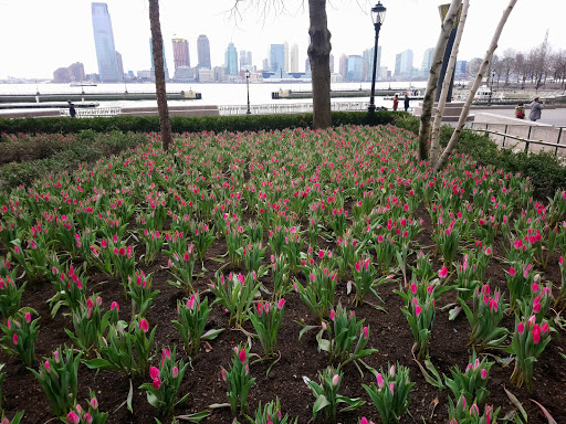 Historical Landmark «The Woolworth Building», reviews and photos, 233 Broadway, New York, NY 10007, USA
