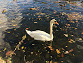 Bords de Seine Andrésy