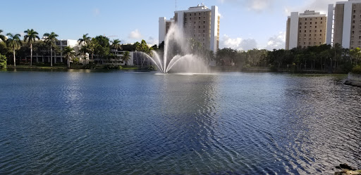 Book Store «University of Miami Bookstore», reviews and photos, 1306 Stanford Dr, Coral Gables, FL 33146, USA