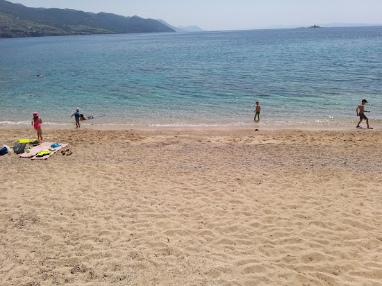 Trstenica beach