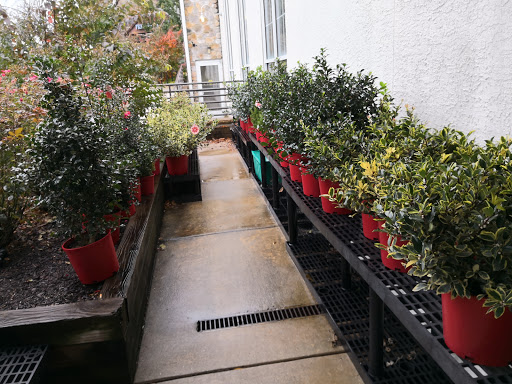 Hardware Store «Phoenixville Ace Hardware», reviews and photos, 542 Kimberton Rd, Phoenixville, PA 19460, USA