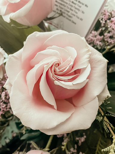 Florist «Countryside Floral & Garden», reviews and photos, 1420 NW Gilman Blvd #1, Issaquah, WA 98027, USA