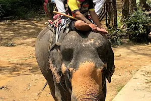 Kathu Elephant Park image