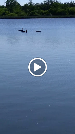 Recreation Center «Weber Leisure Center», reviews and photos, 9300 Weber Park Pl, Skokie, IL 60077, USA