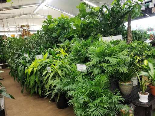 Florist «Metropolitan Plant & Flower», reviews and photos, 840 NJ-17, Paramus, NJ 07652, USA