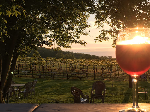 Winery «Galena Cellars Vineyard», reviews and photos, 4746 N Ford Rd, Galena, IL 61036, USA