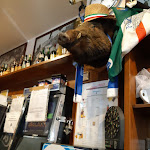 Photo n°6 de l'avis de Anto.n fait le 14/11/2019 à 08:55 sur le  Ristorante Bar Sport Cecina à Cecina