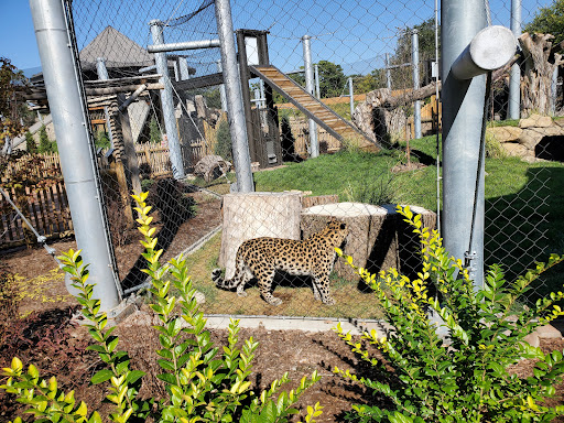 Zoo «Sedgwick County Zoo», reviews and photos, 5555 Zoo Boulevard, Wichita, KS 67212, USA