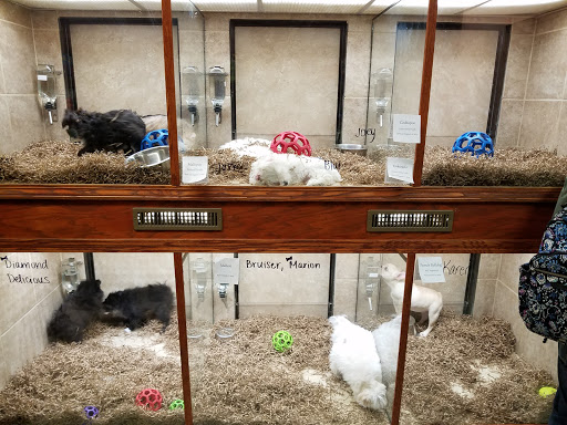 Pet Store «Puppy Love», reviews and photos, 4802 Valley View Blvd NW Uf290, Roanoke, VA 24012, USA