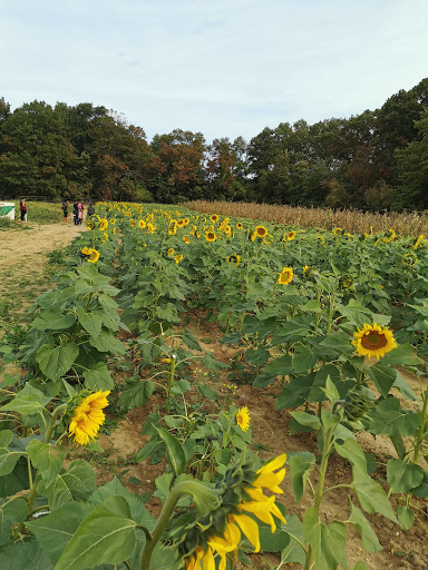 Golf Course «Tamarack Golf Course», reviews and photos, 97 Hardenburg Ln, East Brunswick, NJ 08816, USA