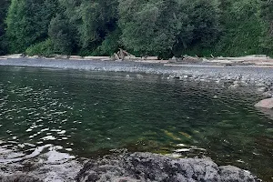 Arbutus Cove & Gordon Head Beach Park image