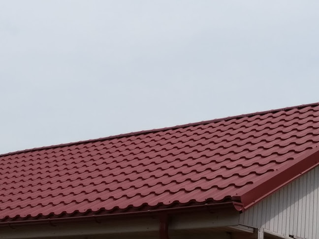 Opinii despre Logistic Roof în <nil> - Firmă de construcții