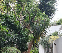 Carslogie House photo