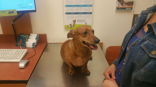 Pet Supply Store «PetSmart», reviews and photos, 2180 MacArthur Rd, Whitehall, PA 18052, USA