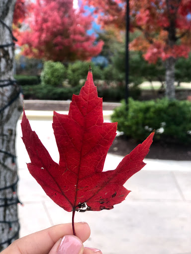 Tourist Attraction «World of Coca-Cola», reviews and photos, 121 Baker St NW, Atlanta, GA 30313, USA