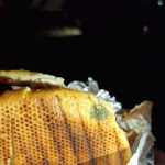 Photo n°2 de l'avis de Bárbara.b fait le 16/04/2023 à 21:18 sur le  Mr Kebab à Guarda