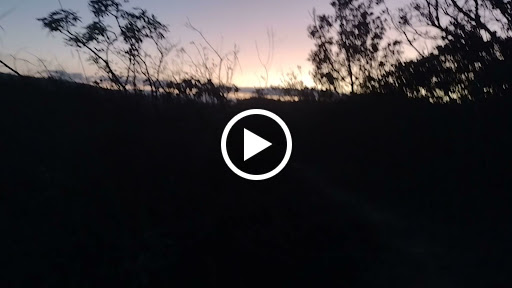 Jackrabbit Shoes and Orthotics, 4576 E 2nd St, Benicia, CA 94510, USA, 