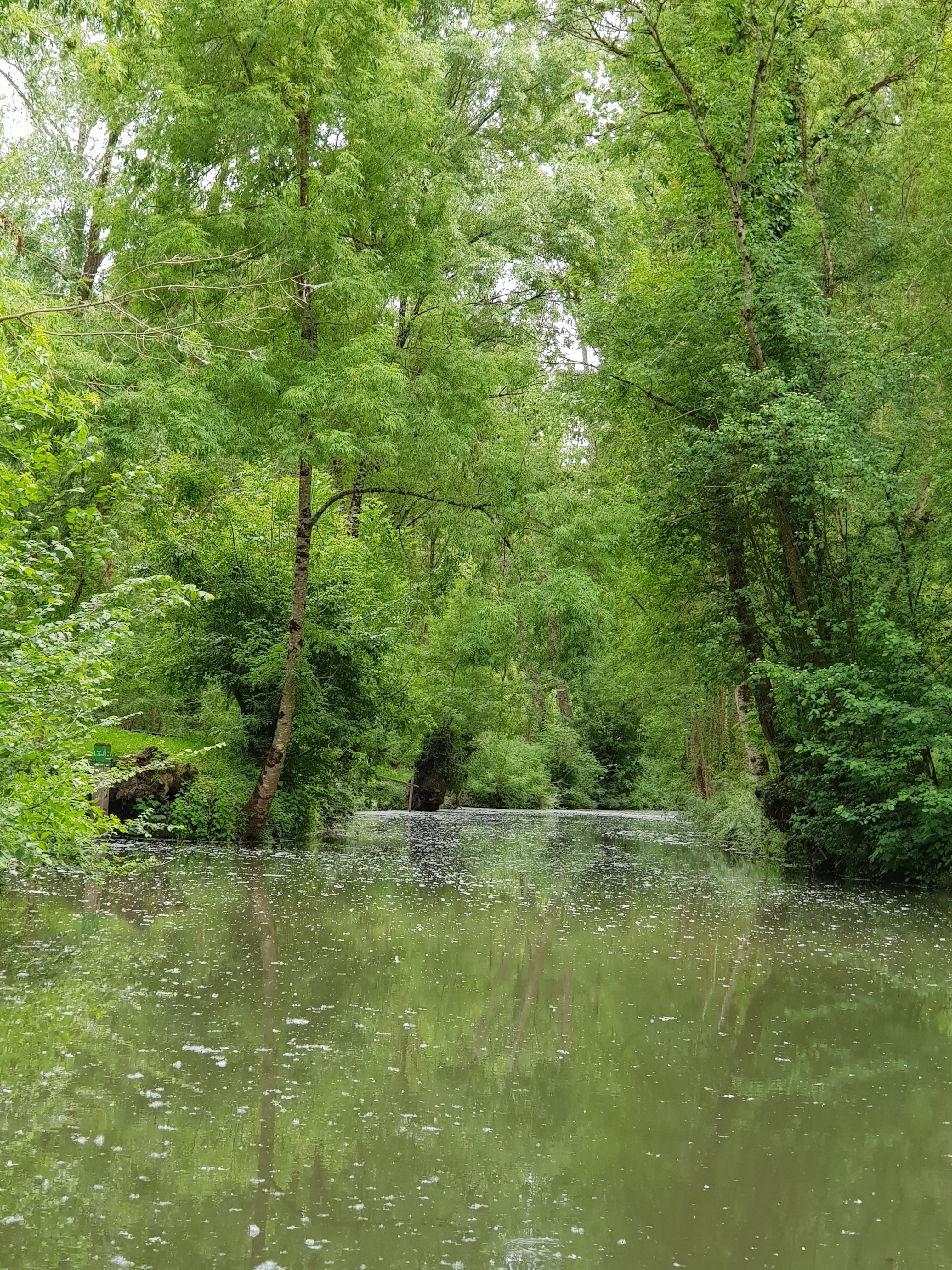 Photo n° 1 de l'avis de Valérie.o fait le 26/05/2019 à 19:26