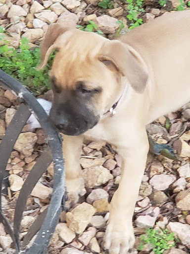 Pet Supply Store «Pet Supplies Plus», reviews and photos, 345 Willow Bend, Crystal, MN 55428, USA