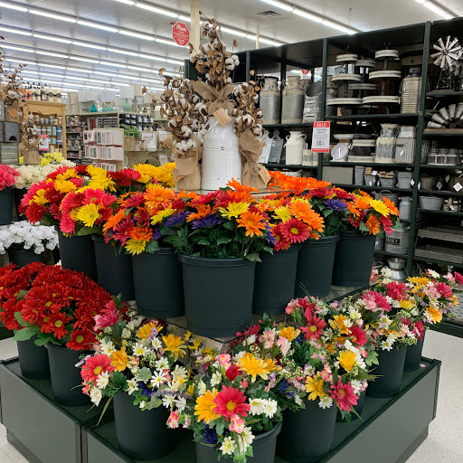 Craft Store «Hobby Lobby», reviews and photos, 5288 Preston Rd, Frisco, TX 75034, USA