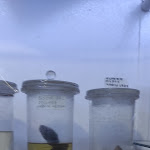 Photo n°9 de l'avis de Marco.o fait le 02/06/2022 à 22:26 sur le  rifugio dell'aquila trattoria pizzeria à Geraci Siculo