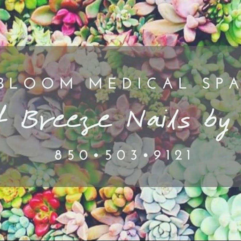 Gulf Breeze Nails by Amy (located in Bloom Medical Spa)