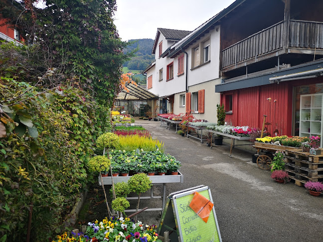 Rezensionen über Gärtnerei Rohner GmbH in Altstätten - Blumengeschäft