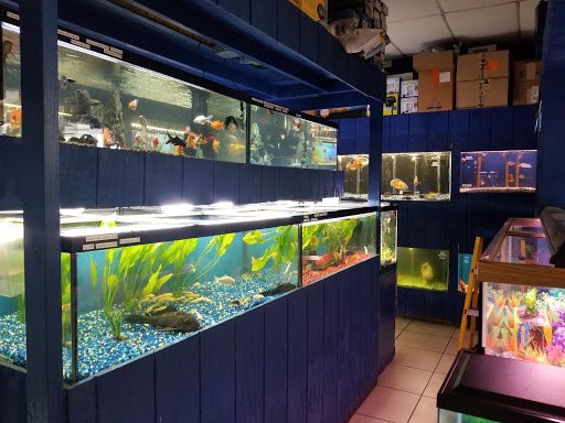 Pet Store «Fosters Exotic Pet Center», reviews and photos, 40116 US Hwy 19 N, Tarpon Springs, FL 34689, USA