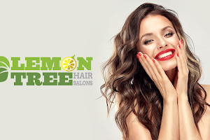 Lemon Tree Hair Salon Shirley image