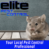 Elite Pest Control LLC - Photo 9 - Car repair in , Staten Island