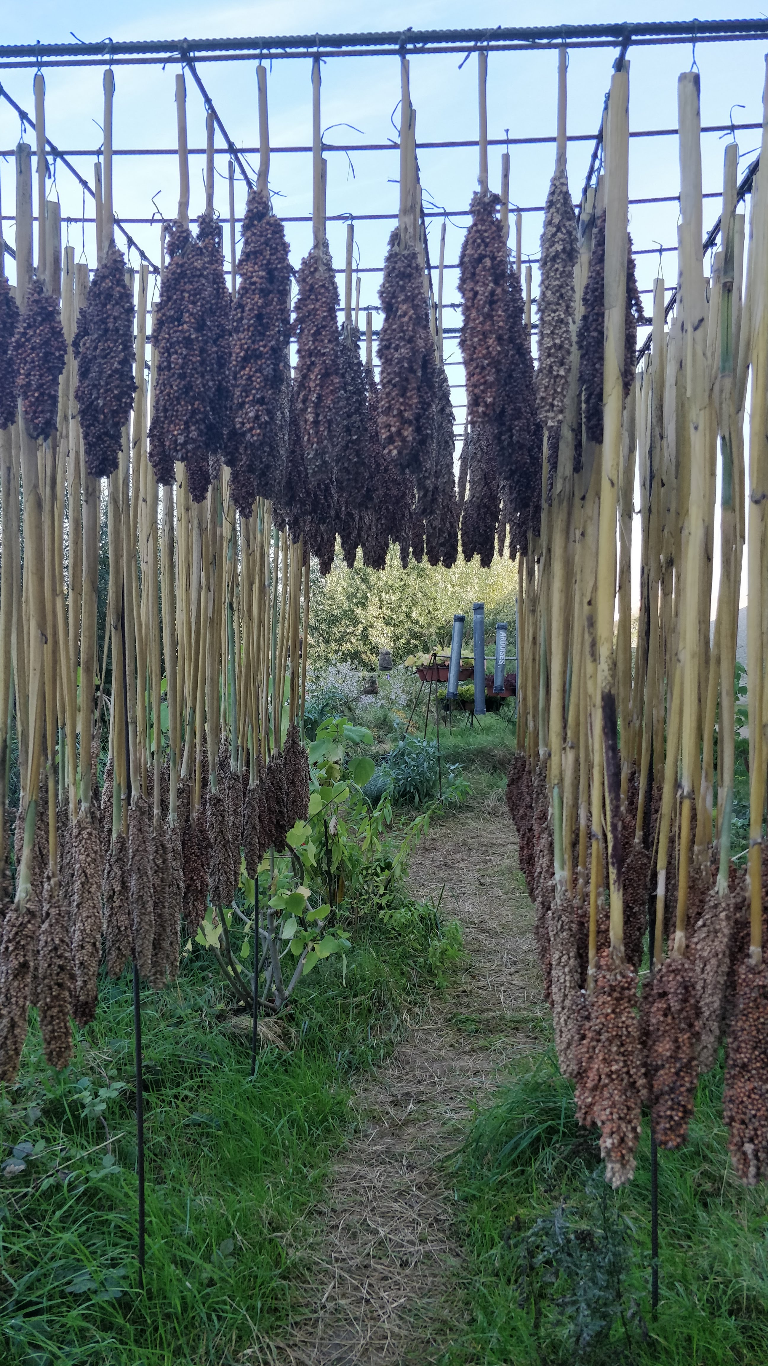 Photo n° 1 de l'avis de Hugues.e fait le 19/10/2021 à 14:41