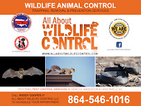All About Wildlife Control LLC - Photo 3 - Car repair in , Greenville