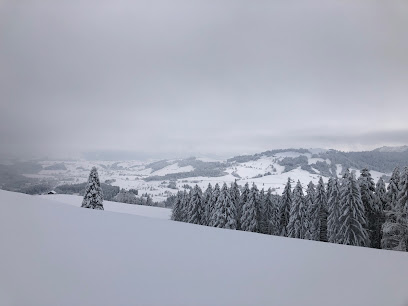 Skilift Raten - Bergstation