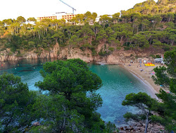 Photo de Plage d'Aiguablava zone des équipements