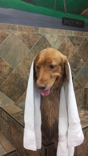 Pet Supply Store «Pet Valu», reviews and photos, 1305 West Seventh Street #28, Frederick, MD 21702, USA