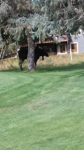 Private Golf Course «Jeremy Ranch Golf & Country Club», reviews and photos, 8770 Jeremy Rd, Park City, UT 84098, USA