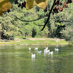 Photo n°7 de l'avis de Gabriella.e fait le 15/10/2023 à 12:49 sur le  Parco del Grassano à San Salvatore Telesino
