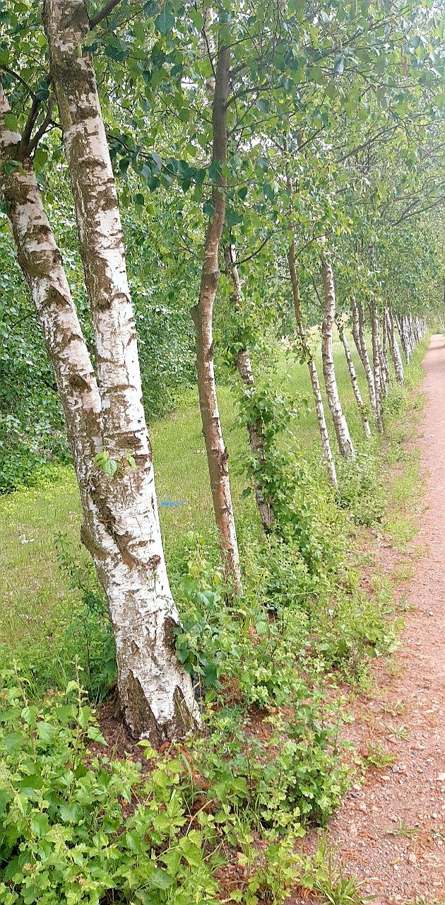 Photo n° 20 de l'avis de Lore.e fait le 24/05/2020 à 16:12