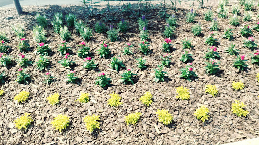 Supermarket «Publix Super Market at Midway Shopping Center», reviews and photos, 4900 Atlanta Hwy, Alpharetta, GA 30004, USA