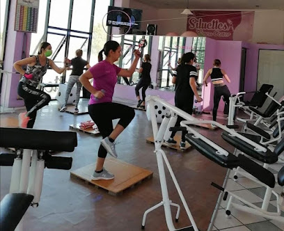 Siluettes Fitness Center - Av Del Ejército 262, Fray Junípero Serra, 63169 Tepic, Nay., Mexico