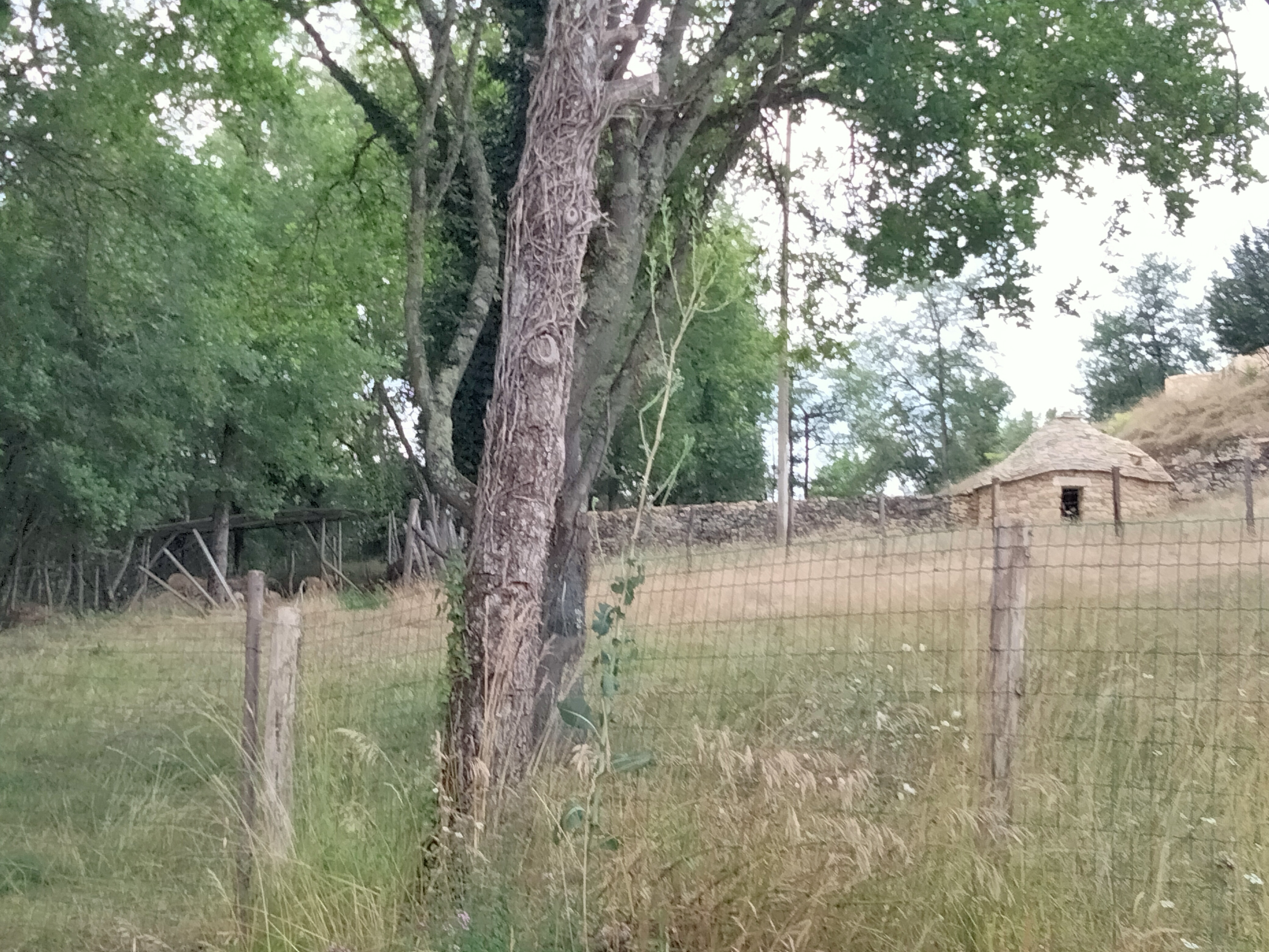 Photo n° 4 de l'avis de Didier.g fait le 30/06/2023 à 20:23