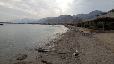 Photos of El Sedawy Pharmacies