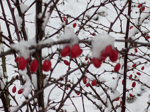 Park «Fairland Recreational Park», reviews and photos, 3928 Greencastle Rd, Burtonsville, MD 20866, USA